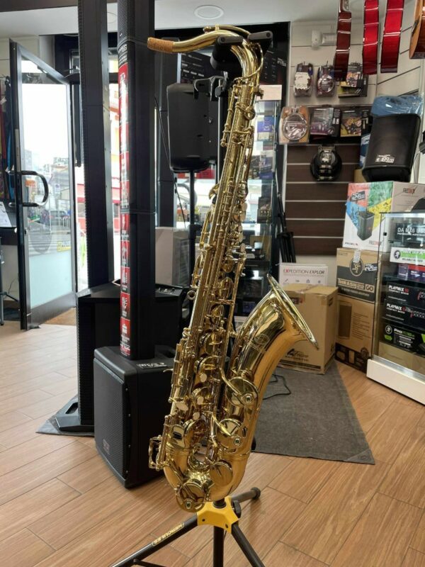 Sounsation stnsx-20 usato