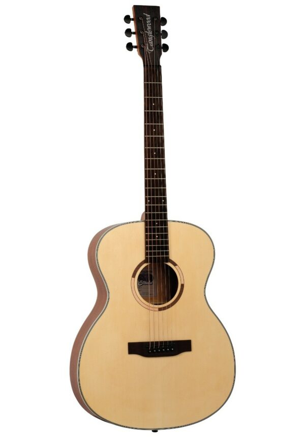 Tanglewood ts3-n