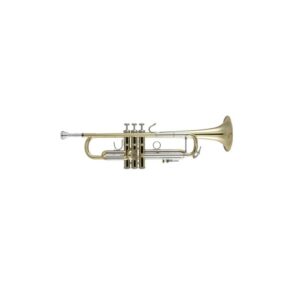 Bach 180-37R Stradivarius Tromba in Sib