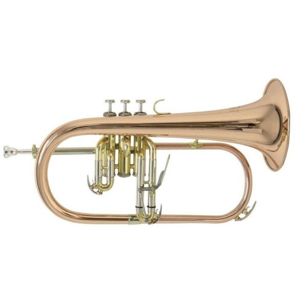 Bach Fh501 Flicorno Sib