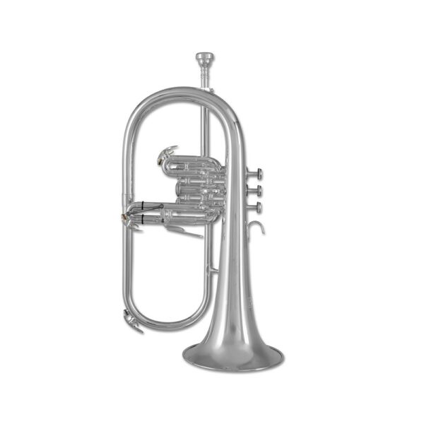 Bach FH501S Flicorno Sib