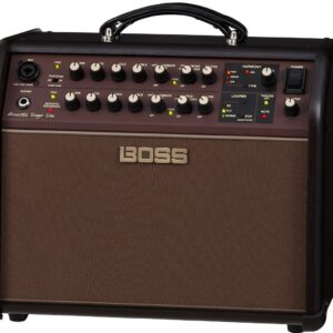Boss acs acoustic singer live