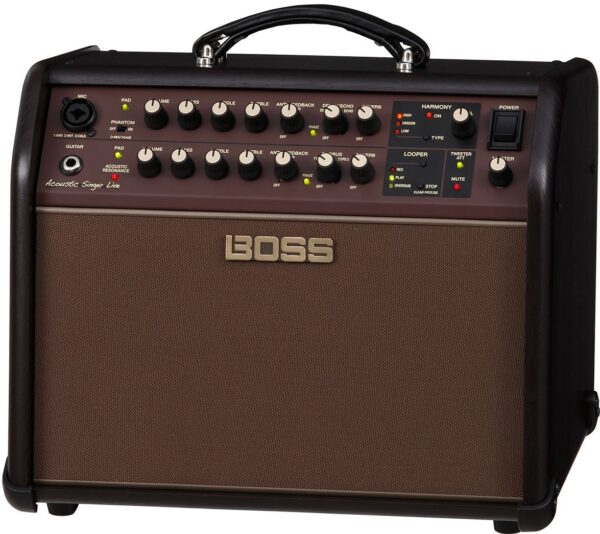 Boss acs acoustic singer live