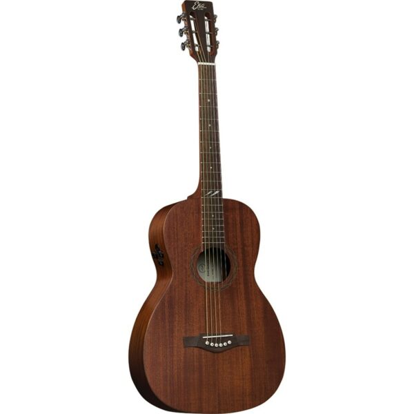 Eko duo p200e fishman flex plus tuner