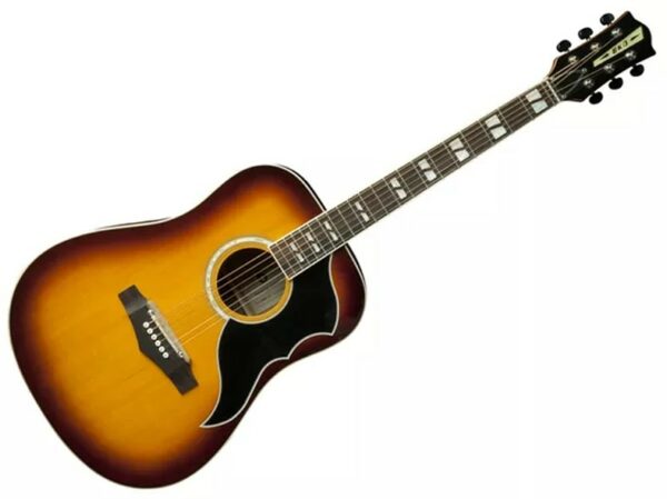 Eko Ranger VI VR EQ Honey Burst