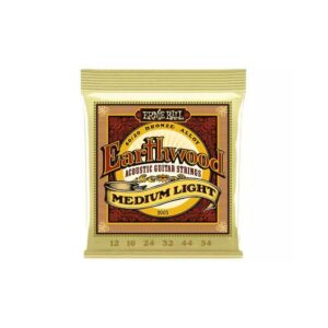 Ernie Ball 2003 Earthwood 80/20 Bronze Light 12-54 Muta Corde