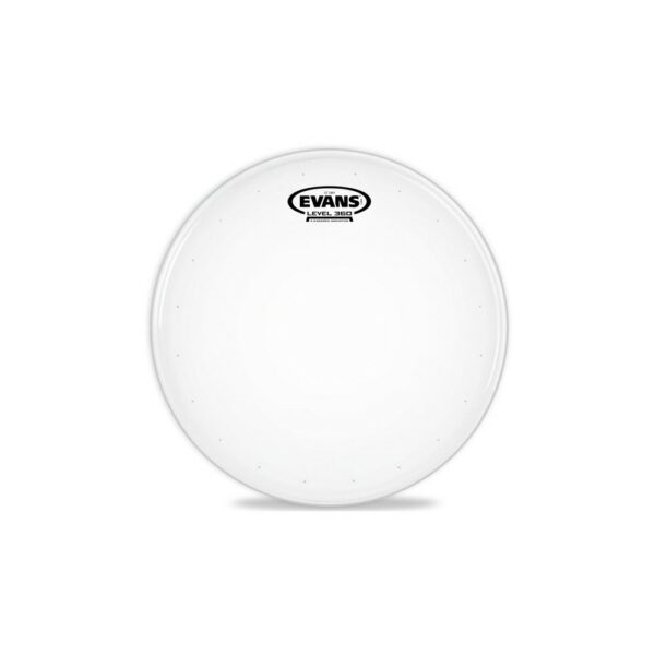 Evans ST B14STD Dry 14"