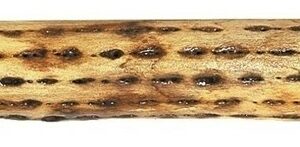 Gewa 838700 Rainstick Bastone Della Pioggia