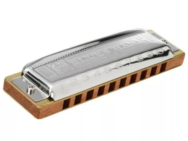Hohner Blues Harp D (RE)
