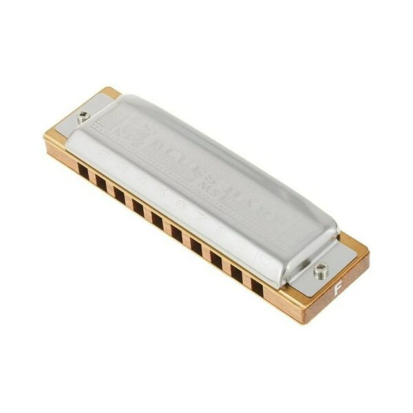 Hohner Blues Harp F (FA) Armonica Diatonica 20 Ance