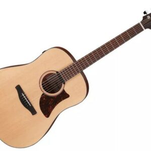 Ibanez AAD100E Open Pore Natural