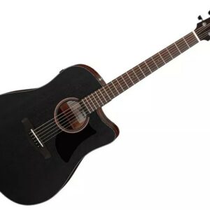 Ibanez AAD190CE-WKH