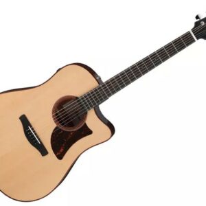 Ibanez AAD300CE Natural Low Gloss