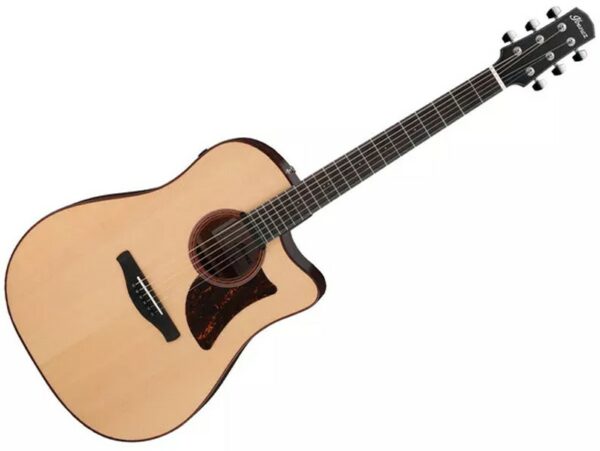 Ibanez AAD300CE Natural Low Gloss