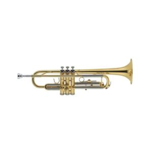 J.Michael TR201 (EX 200) Tromba Sib