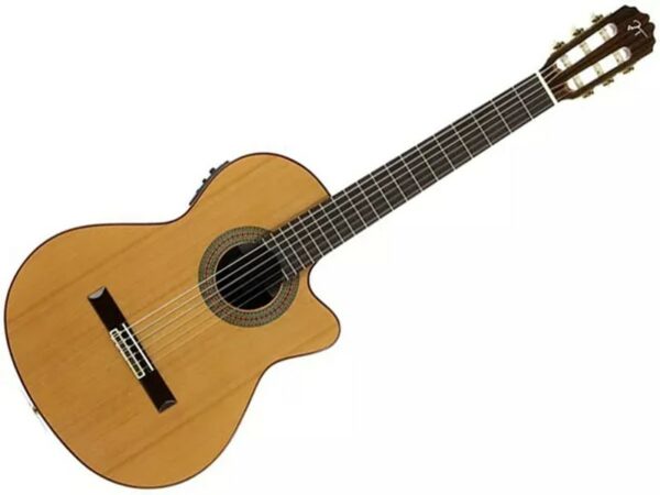 Jose Torres JTF-30CE