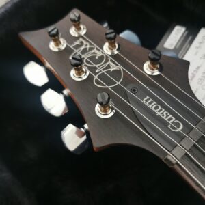 PRS Custom 24 Pattern Thin Eriza Verde