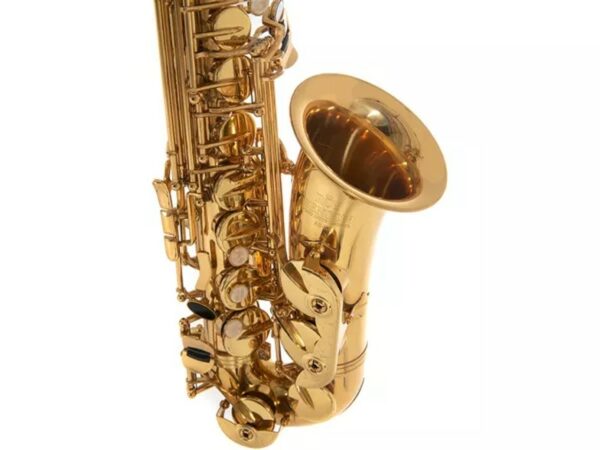 Roy Benson AS-202 Sax Alto Mib