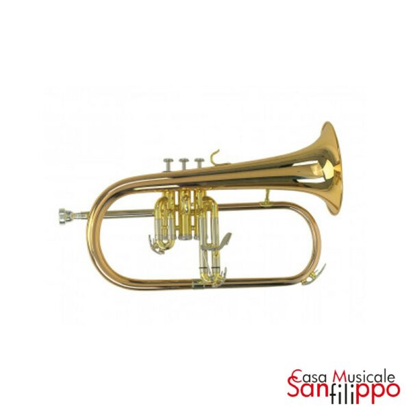Roy Benson Fh302-G Flicorno Soprano Sib