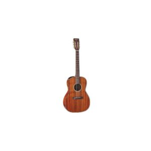 Takamine EF407 New Yorker