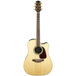 Takamine GD71CE Natural