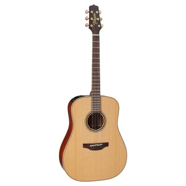 Takamine P3D Natural