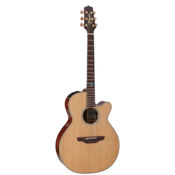 Takamine TSF40C