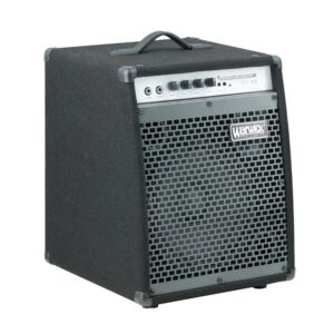 Warwick BC40 Combo