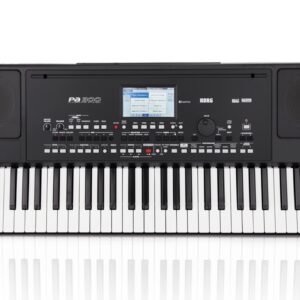 Korg Pa 300 USATA – Spedizione Gratuita – Pronta Consegna