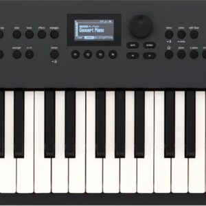 Roland Go:Keys 5 Graphite – Spedizione Gratuita – Pronta Consegna